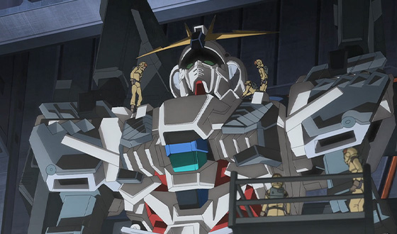 C-Packs (NT-D Unactivated State)